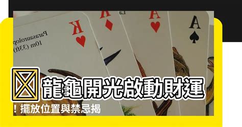 龍龜自己開光|【龍龜 開光】揭秘：龍龜開光化煞，打造財運福地 – 虞默莧師傅